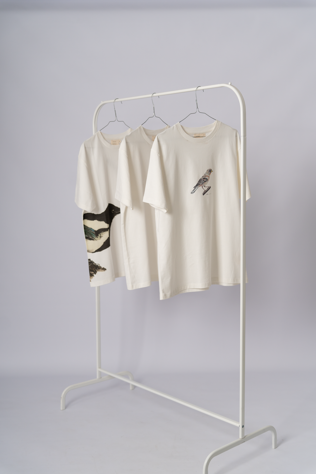 BIRDS All Collection Bundle